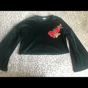 Velvet Embroidered Crop Top